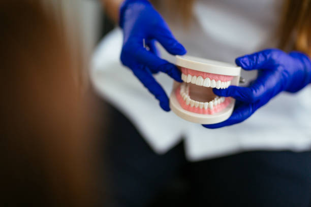 Best Traditional Braces  in Gunbarrel, CO